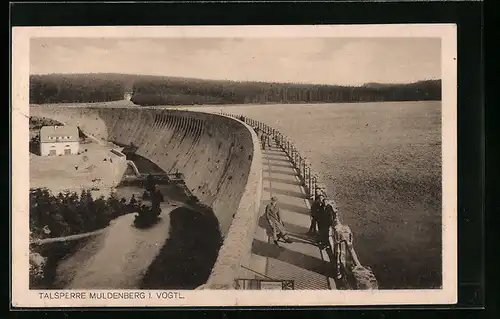 AK Muldenberg i. Vogtl., Talsperre