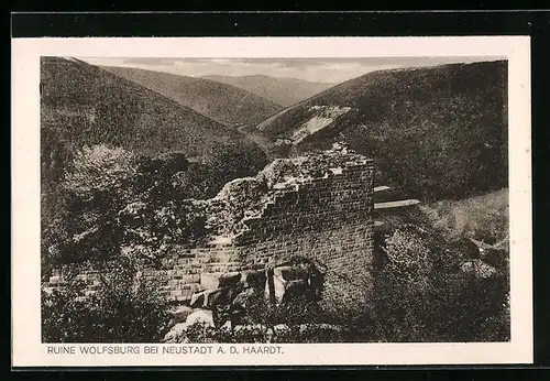 AK Neustadt a. d. Haardt, Ruine Wolfsburg