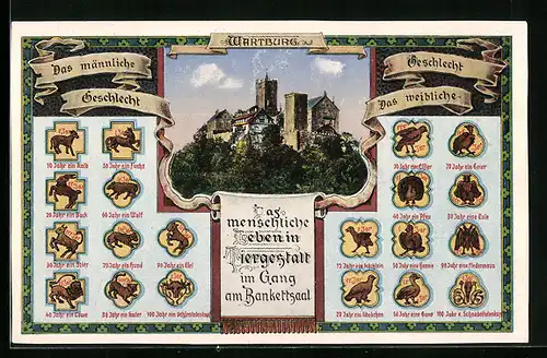 AK Eisenach, Wartburg, Gesamtansicht und Gemälde Das menschliche Leben in Tiergestalt am Bankettsaal