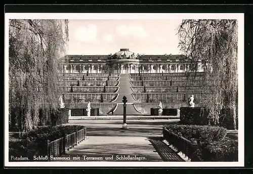 AK Potsdam, Schloss Sanssouci mit Terrassen und Schlossanlagen
