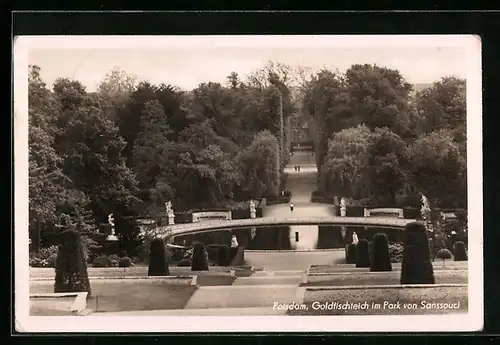 AK Potsdam, Goldfischteich im Park von Schloss Sanssouci