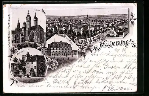Lithographie Naumburg a. S., Panorama, Dom Rathaus, Marientor