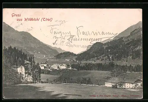 AK Wildbichl /Tirol, Teilansicht mit Bergen