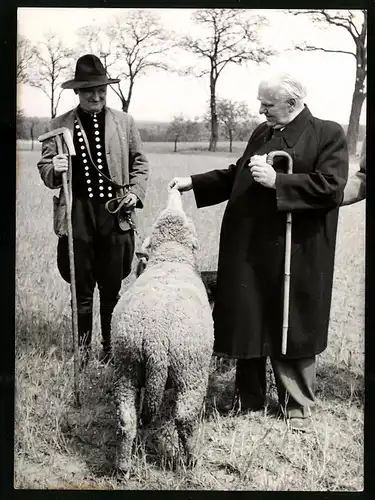 Fotografie DDR Präsident Wilhelm Pieck füttert ein Schaf auf der Heide