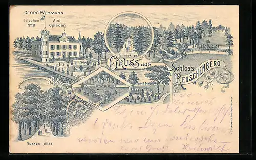 Lithographie Leverkusen, Schloss Reuschenberg, Buchen-Allee