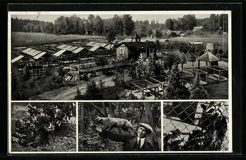 AK Isabellengrün, Pelztierfarm Saaletalsperre, Tüchter mit Fuchs auf dem Arm, Eule, Waschbären