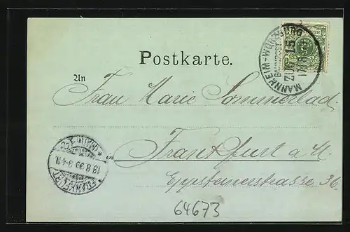 AK Zwingenberg a. N., Gasthaus z. Schiff, Totalansicht