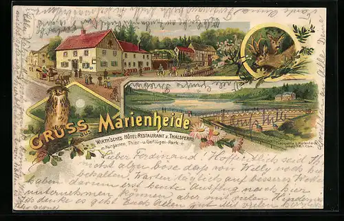 Lithographie Marienheide, Wirth`sches Hotel-Restaurant zur Thalsperre, Eule, Rehe