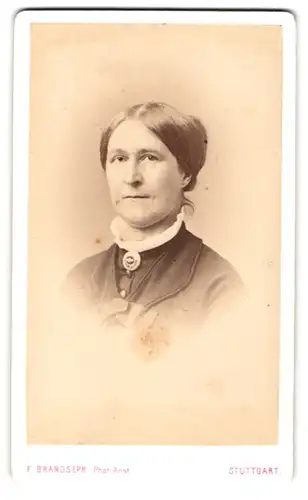 Fotografie F. Brandseph, Stuttgart, Marienstr. 36, Bürgerliche Dame mit Kragenbrosche