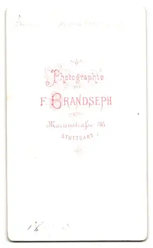 Fotografie F. Brandseph, Stuttgart, Marienstr. 36, Bürgerliche Dame mit Kragenbrosche