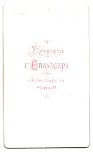 Fotografie F. Brandseph, Stuttgart, Marienstr. 36, Älterer Herr im Anzug mit Fliege