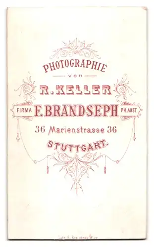 Fotografie F. Brandseph, Stuttgart, Marienstr. 36, Junge Dame mit Kragenbrosche