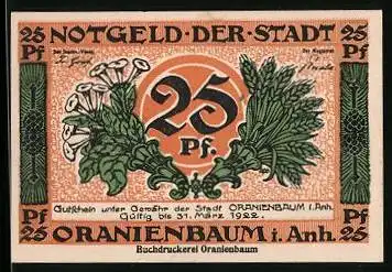 Notgeld Oranienbaum i. Anh. 1922, 25 Pfennig, Blick auf ein Gebäude