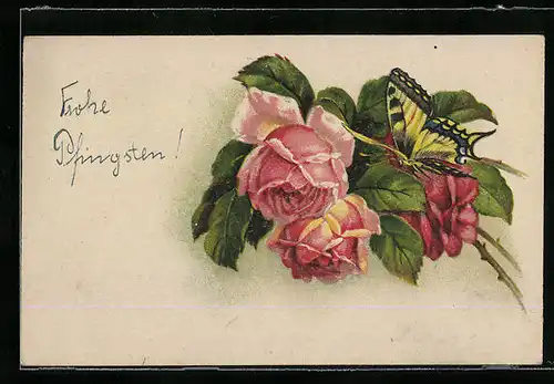 AK Schmetterling auf Rosenzweigen