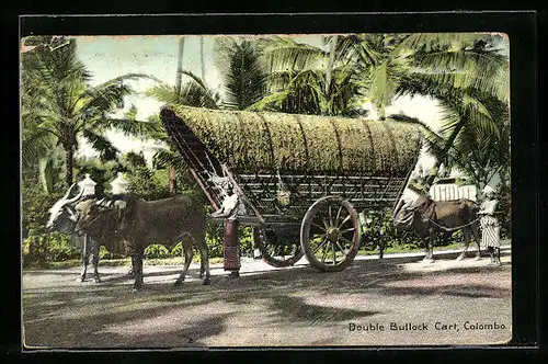 AK Colombo, Double Bullock Cart