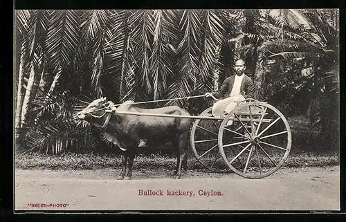 AK Ceylon, Bullock hackery