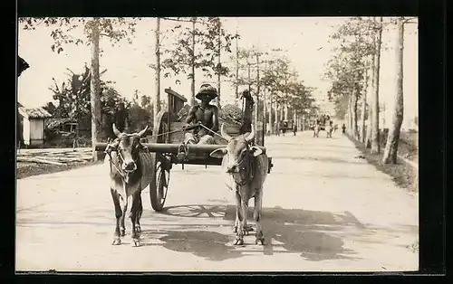 AK Ceylon, Kuh-Gespann mit Kutscher auf einer Strasse