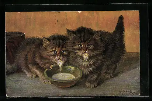 AK Zwei kleine getigerte Katzen an der Milchschale