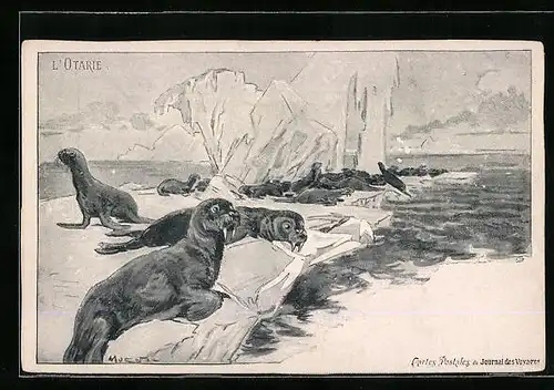 AK Robben auf einer Eisscholle