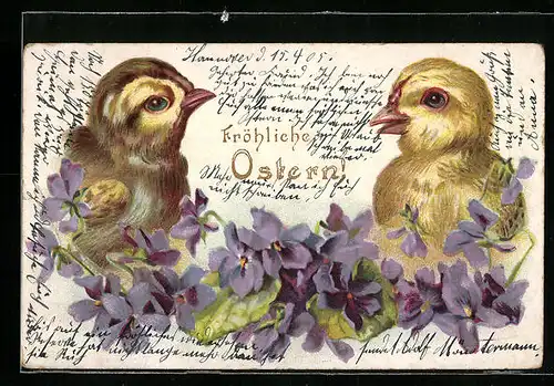 AK Osterküken mit Veilchen, Fröhliche Ostern