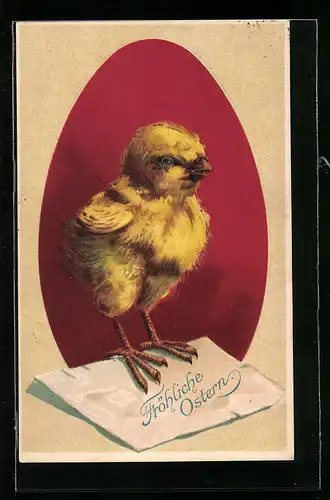 AK Osterküken wünscht fröhliche Ostern