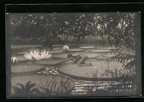 Künstler-AK Fidus: Victoria Regia, Nackte Frau auf einem Seerosenblatt