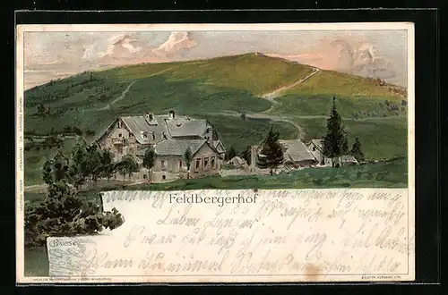 Künstler-AK Carl Biese: Feldbergerhof, Panorama