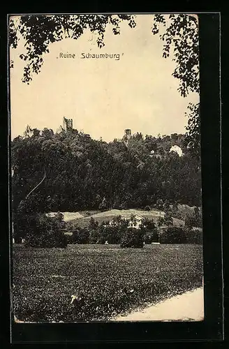 AK Eferding, Blick zur Ruine Schaumburg