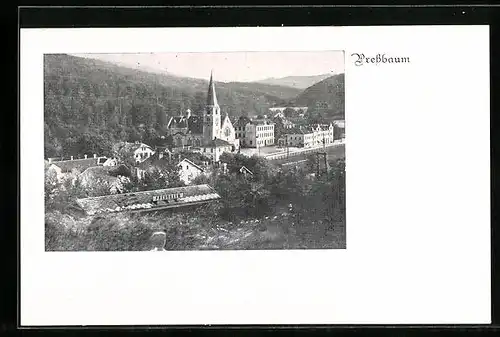 AK Pressbaum, Teilansicht mit Kirche
