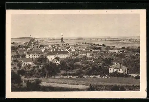 AK Eggenburg, Ortspanorama mit Fernblick