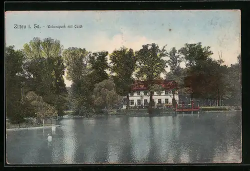 AK Zittau i. Sa., Weinaupark mit Teich