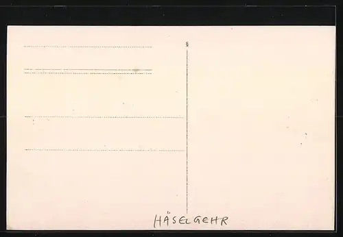 AK Häselgehr, Gesamtansicht aus der Ferne