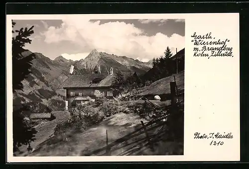 AK Mayrhofen, Gasthaus Wiesenhof mit Brandberg