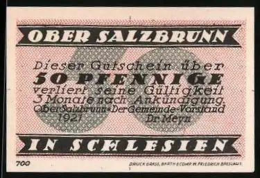 Notgeld Bad Salzbrunn /Schlesien 1921, 50 Pfennig, Bergansicht