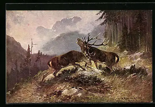 Künstler-AK M. Müller jun.: Kämpfende Hirsche während der Balzzeit im Gebirge