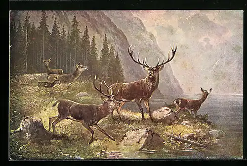 Künstler-AK M. Müller jun.: Hirsche am Seeufer