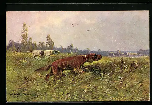 Künstler-AK M. Müller jun.: Jagdhunde auf der Pirsch