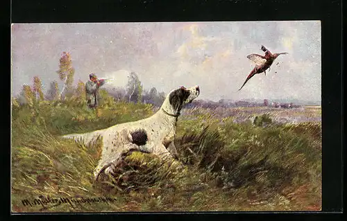 Künstler-AK M. Müller jun.: Fasanenjagd, Jagdhund