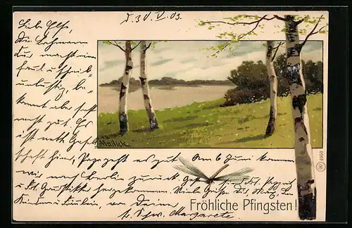 Künstler-AK Alfred Mailick: Pfingstgruss, Birkenhain, Libelle