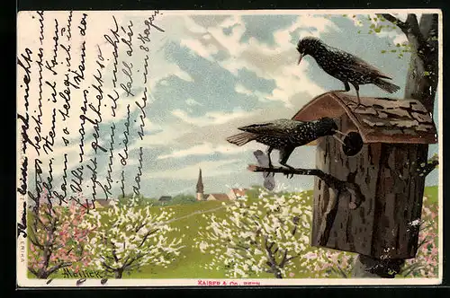 Künstler-AK Alfred Mailick: Stare am Vogelhaus zwischen blühenden Bäumen