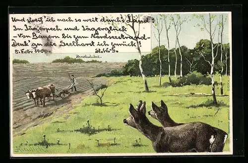 Künstler-AK Alfred Mailick: Rehe beobachten einen Bauer mit Rinderpflug auf dem Feld