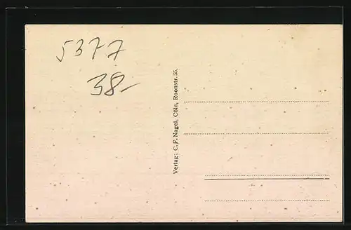 AK Pesch /Eifel, Gasthaus v. Herm. Jos. Metzen, Totalansicht