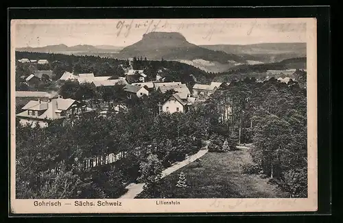 AK Gohrisch /sächs. Schweiz, Gesamtansicht mit Lilienstein