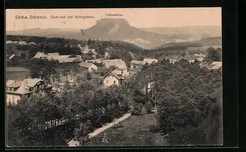 AK Gohrisch /sächs. Schweiz, Ortsansicht mit Blick zum Lilienstein