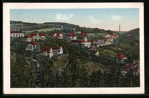 AK Bad Gottleuba, Heilstätte der Landesversicherungs-Anstalt Sachsen, Gesamtansicht