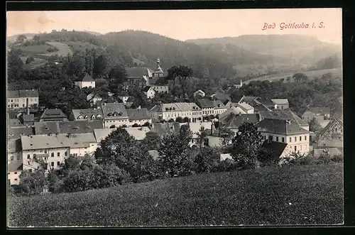 AK Bad Gottleuba i. Sa., Ortsansicht von einem Berg aus gesehen