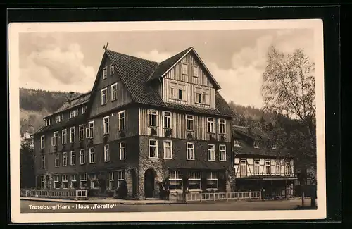 AK Treseburg im Harz, Haus Forelle