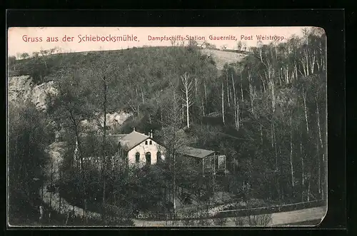AK Gauernitz, Schiebocksmühle, Dampfschiffs-Station