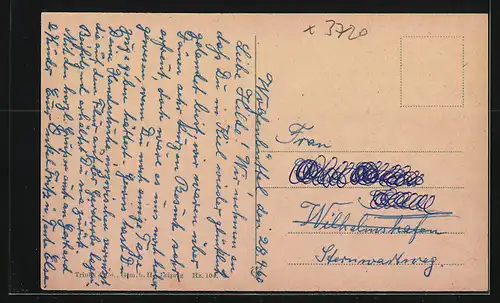 AK Blankenburg am Harz, Villen mit Silberborn