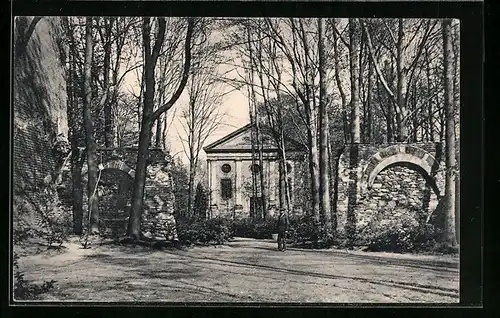 AK Altzella, Ruinen der Stiftskirche und fürstliche Begräbniskapelle im Klosterpark